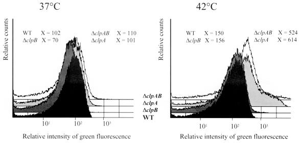 FIG. 6