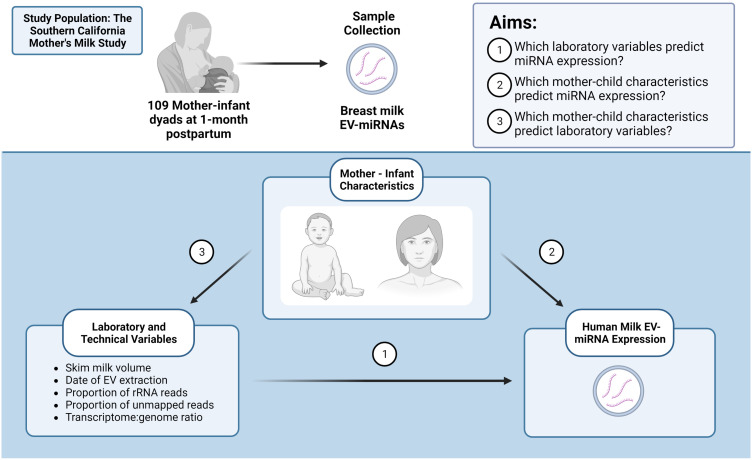 Figure 1