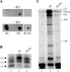 FIG. 7.