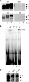 FIG. 5.