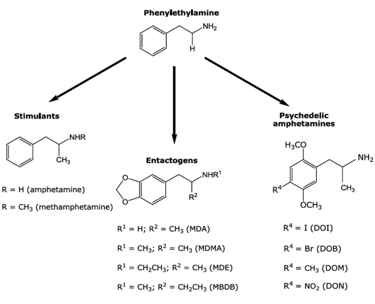 Fig. (1)