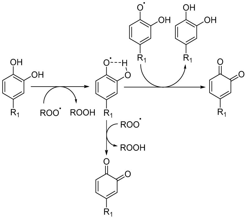 Scheme 4