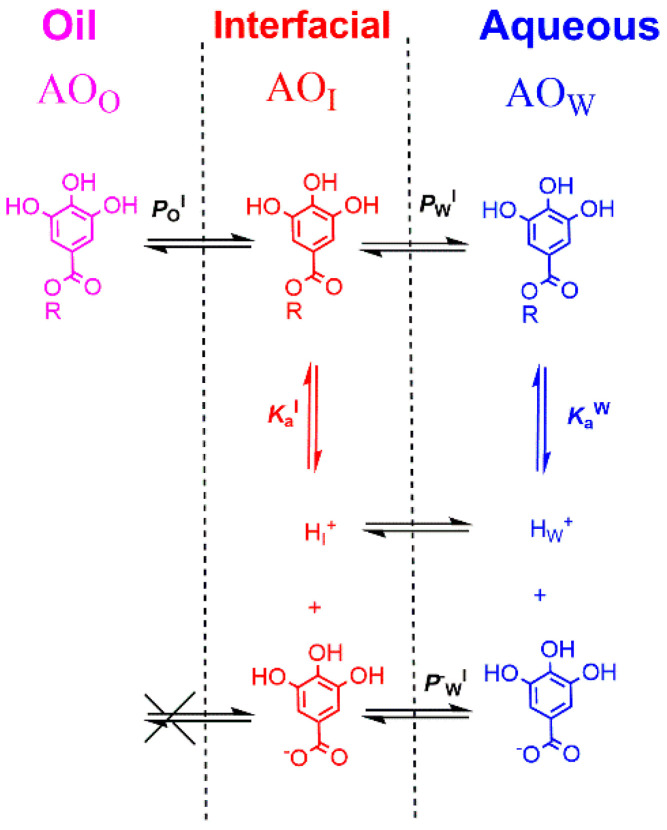 Scheme 8