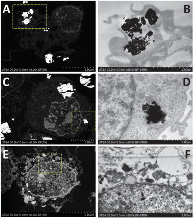 Fig. 7