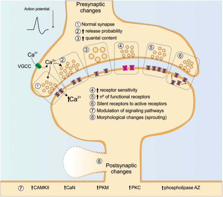 FIGURE 4