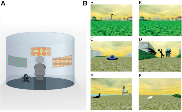 FIGURE 1