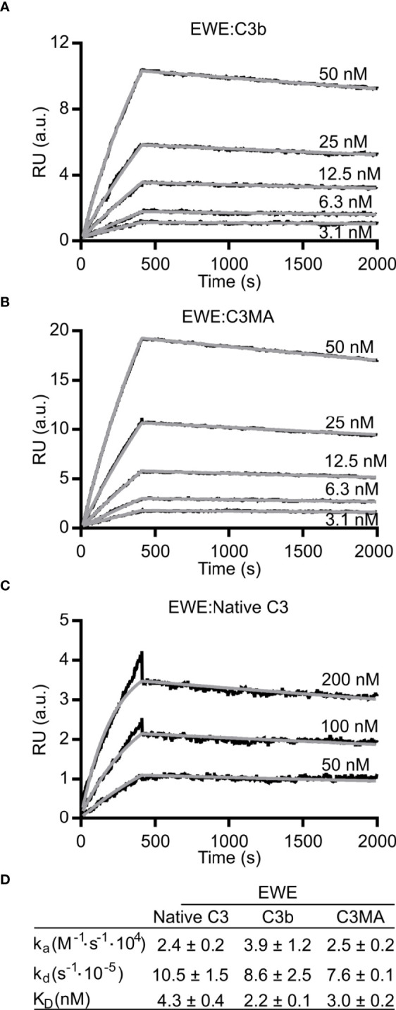 Figure 2