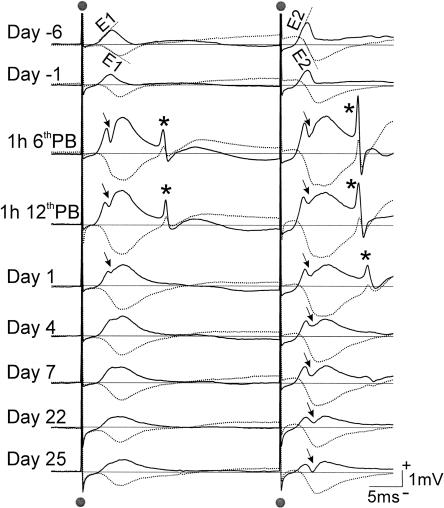 Figure 7.