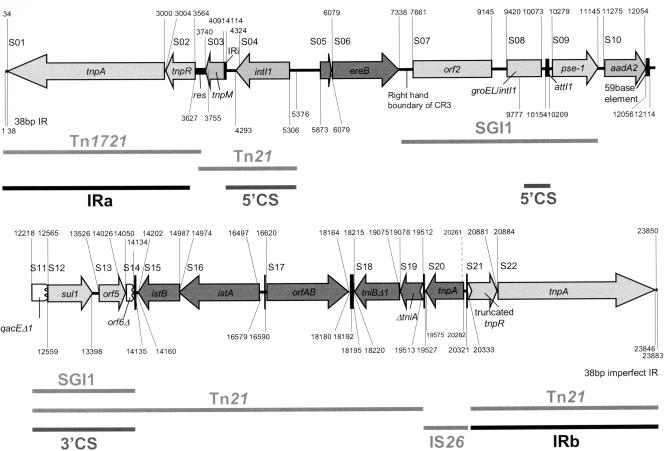 FIG. 2.