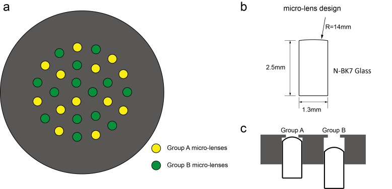 Figure 1—figure supplement 1.