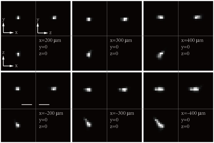 Figure 1—figure supplement 9.