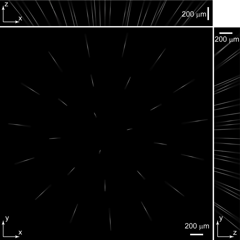 Figure 1—figure supplement 2.