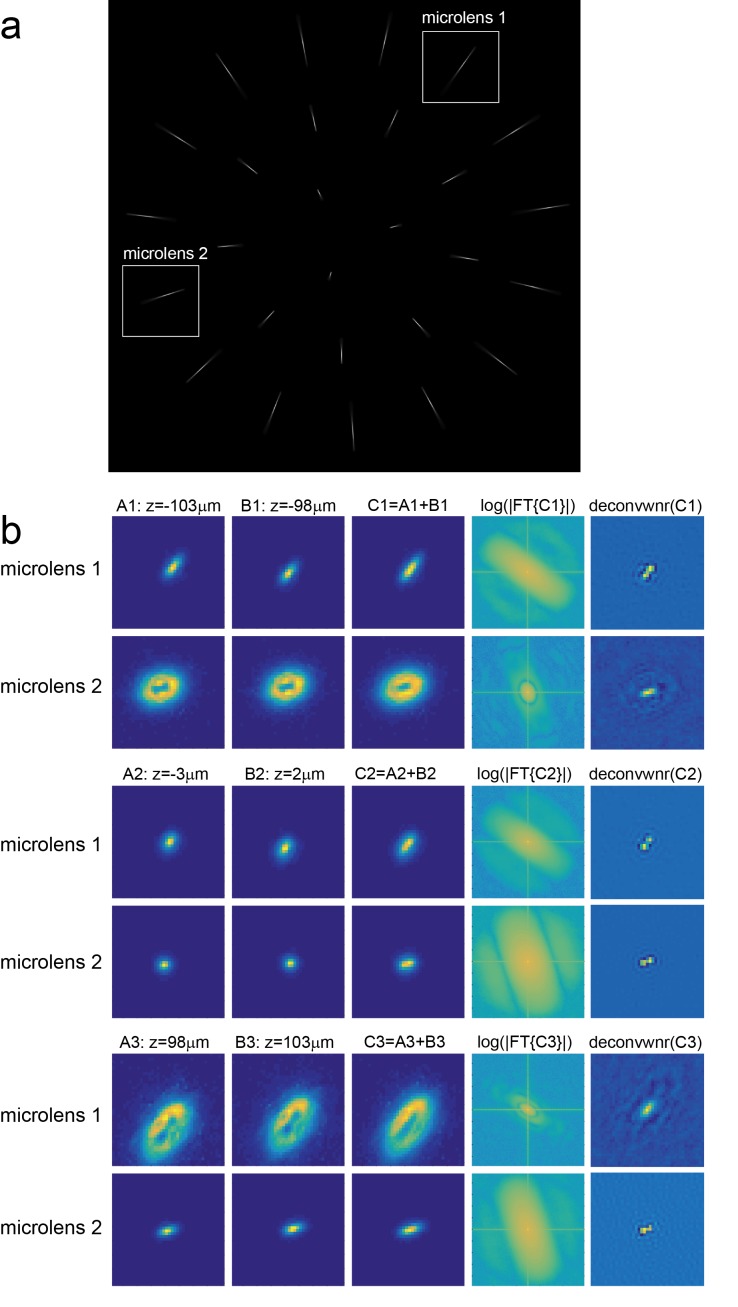 Figure 1—figure supplement 7.