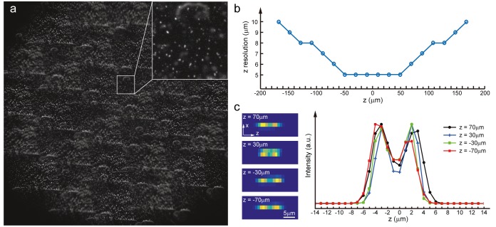 Figure 1—figure supplement 10.