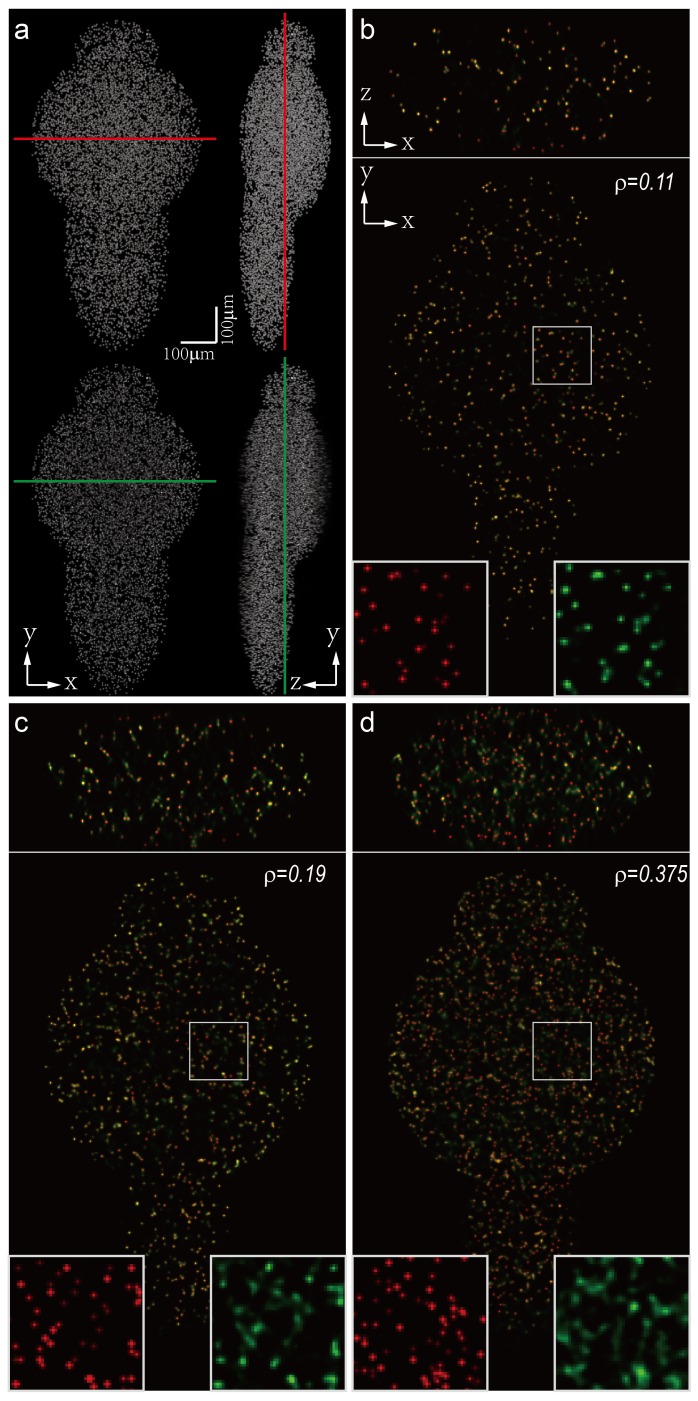 Figure 1—figure supplement 11.