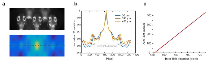 Figure 2—figure supplement 1.