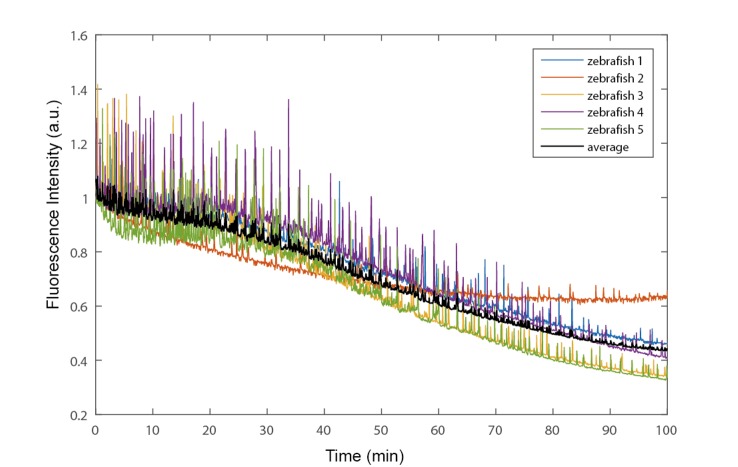 Figure 1—figure supplement 12.