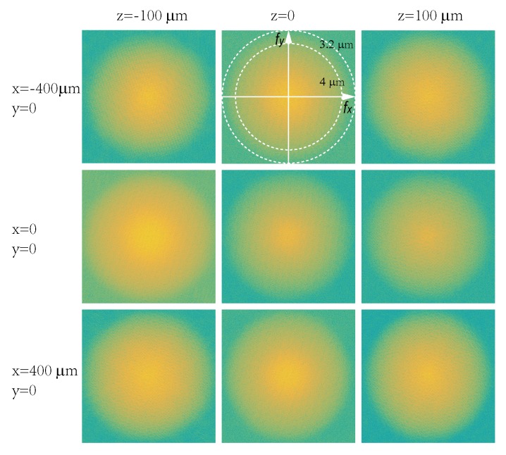 Figure 1—figure supplement 6.