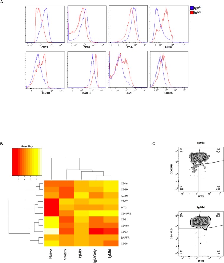 FIGURE 1