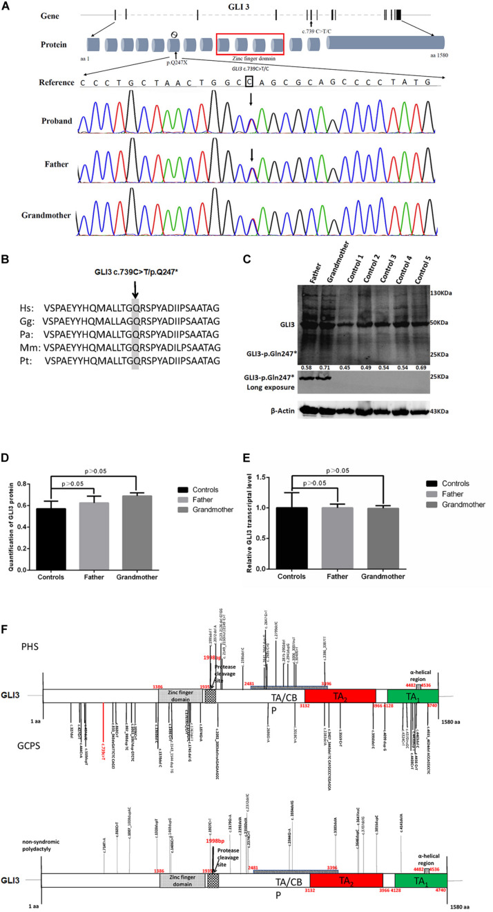 FIGURE 3