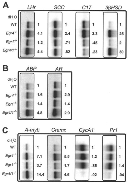 FIG. 5