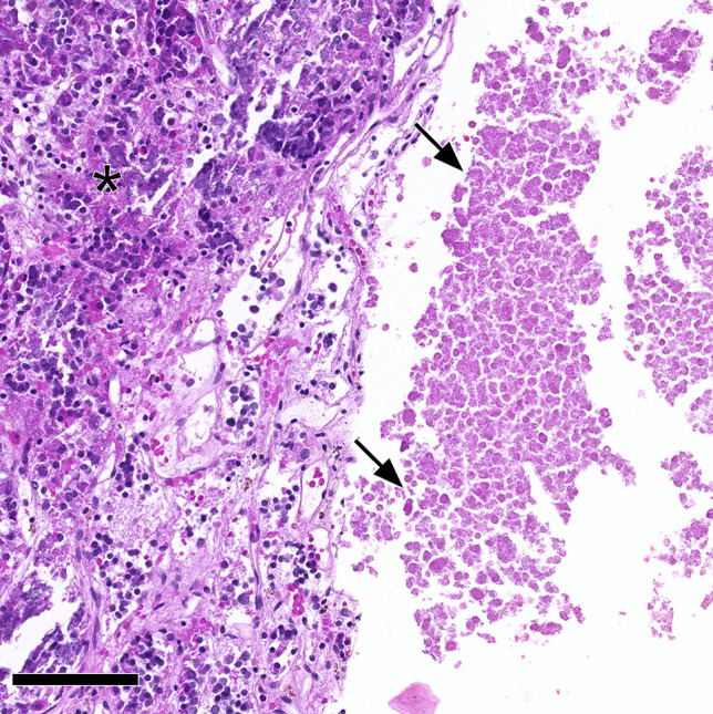 Fig. 13