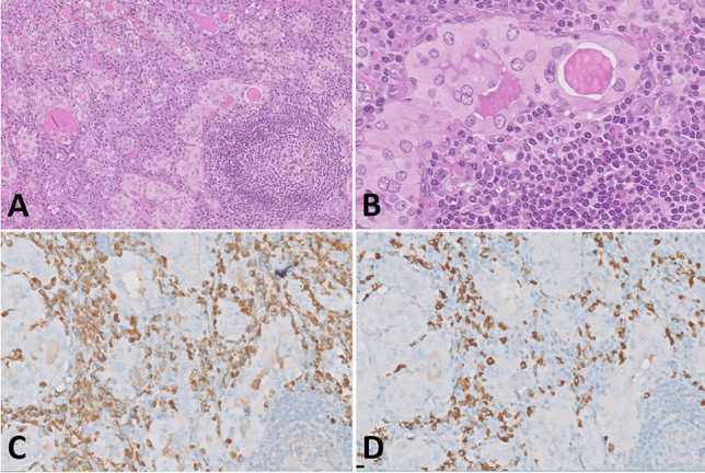 Fig. 23