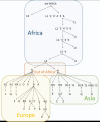 Fig 1