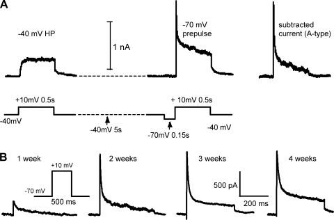 Fig. 5.