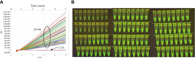 Figure 5