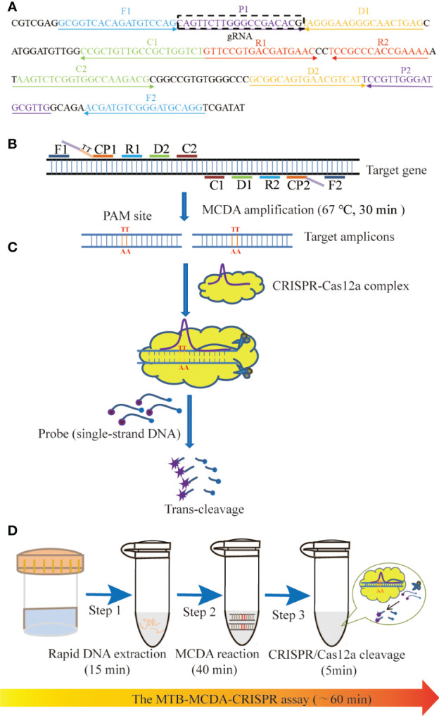 Figure 1