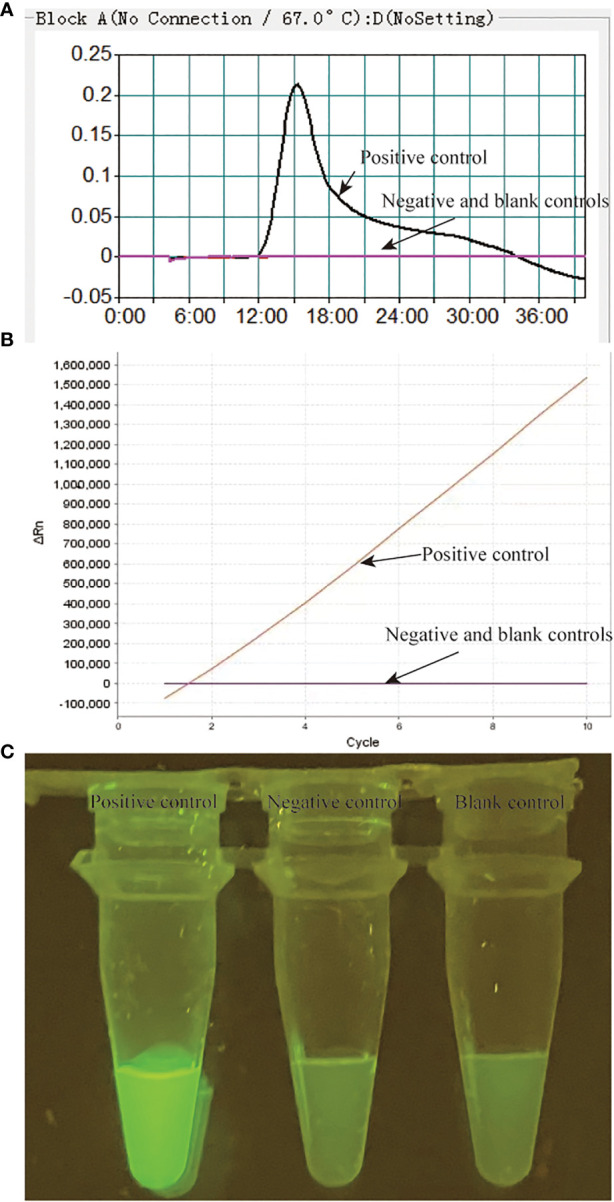 Figure 2