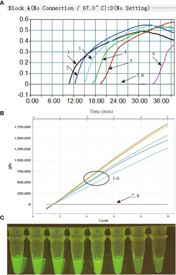 Figure 4