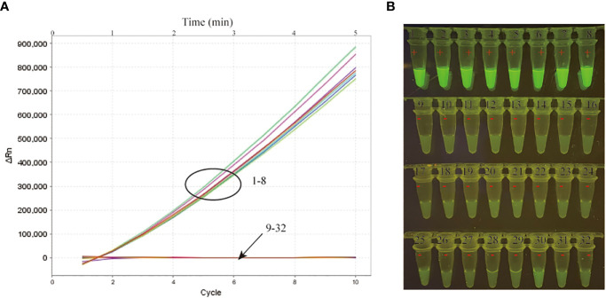 Figure 3