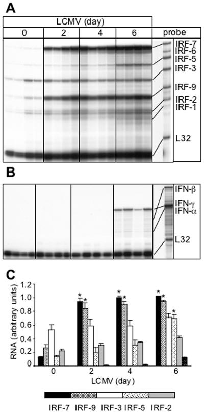 FIG. 1.