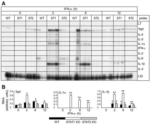 FIG. 10.