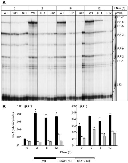 FIG. 7.