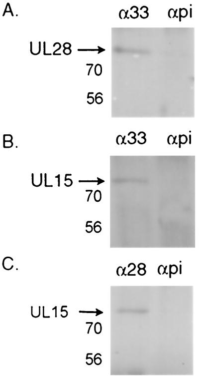 FIG. 5.