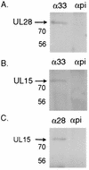 FIG. 5.