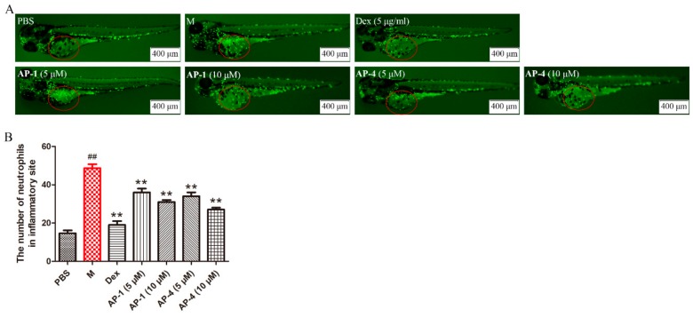 Figure 12