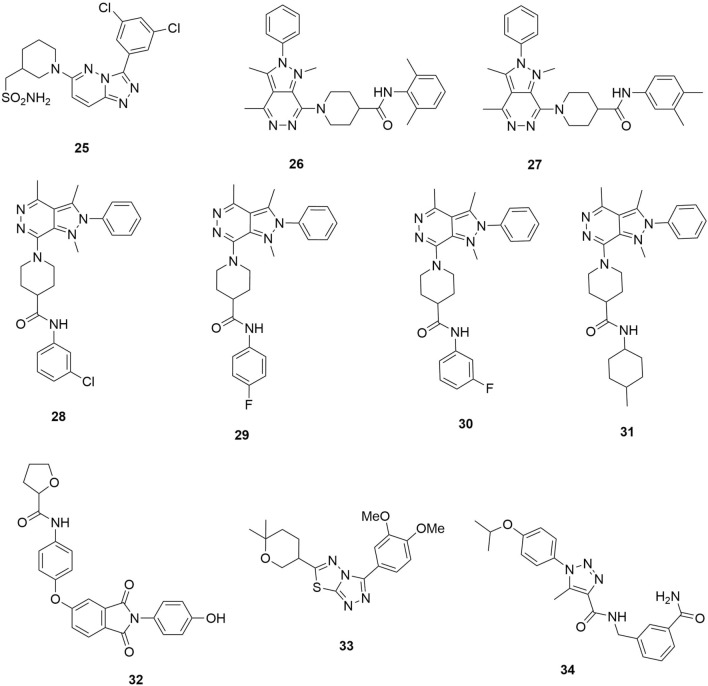 Fig. 8