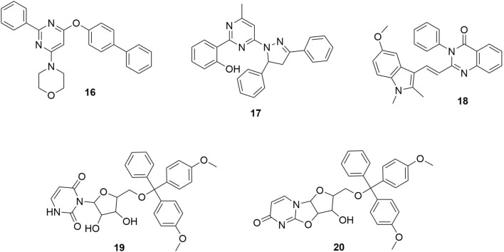 Fig. 6