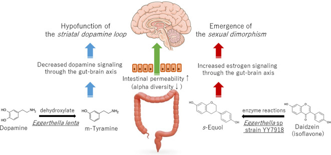 Figure 1