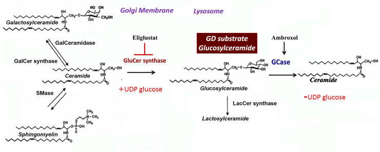 Fig 1