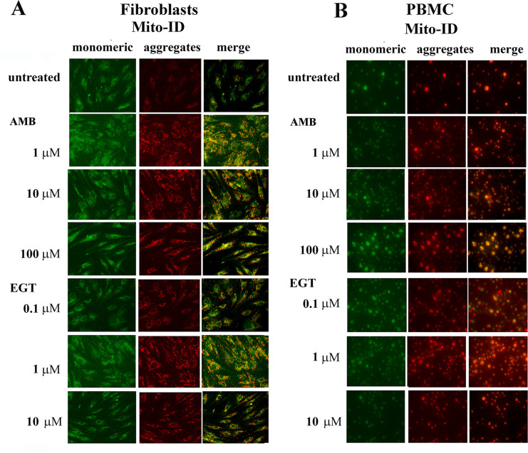 Fig 8