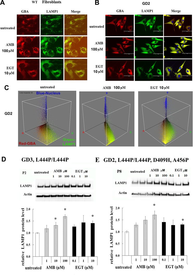 Fig 3