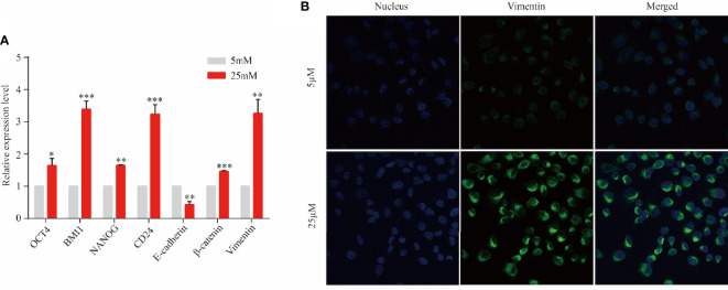 Figure 5