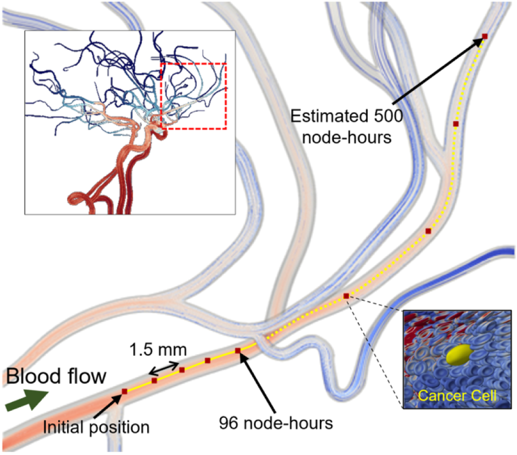 Figure 9: