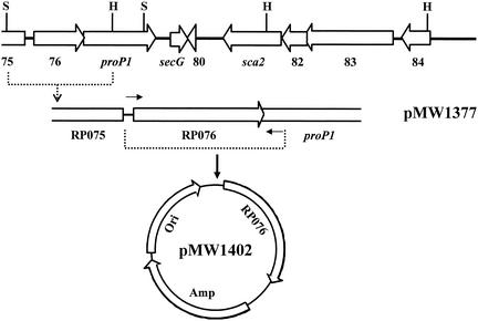 FIG. 3.