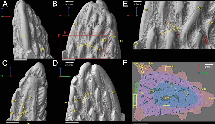 Figure 6